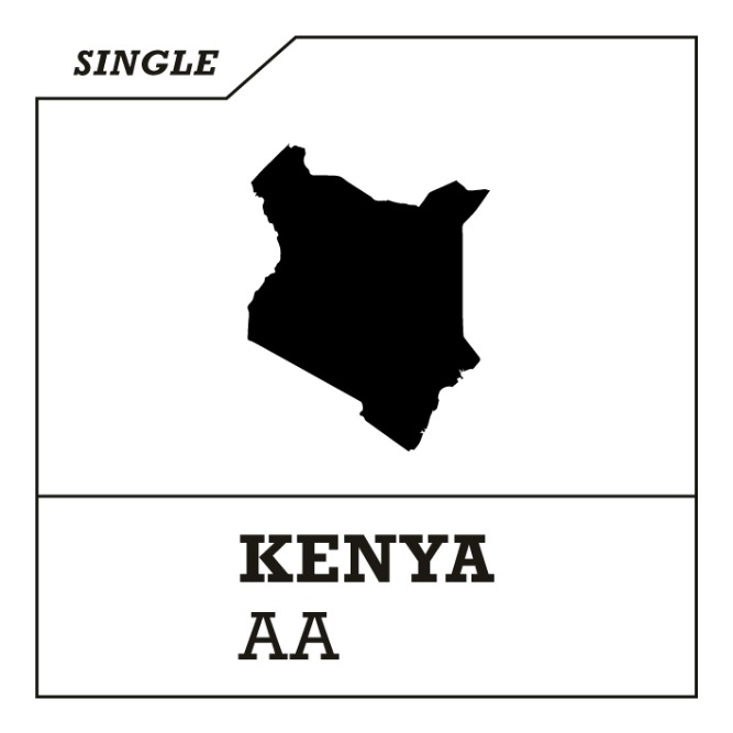 [싱글오리진] 케냐 AA