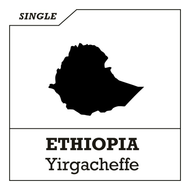 [싱글 오리진] 에디오피아 예가체프