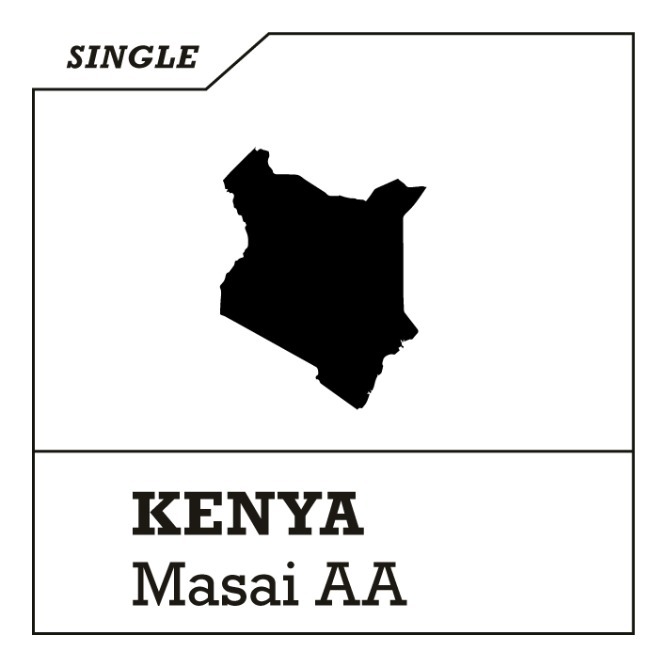 [싱글 오리진] 케냐 AA 마사이